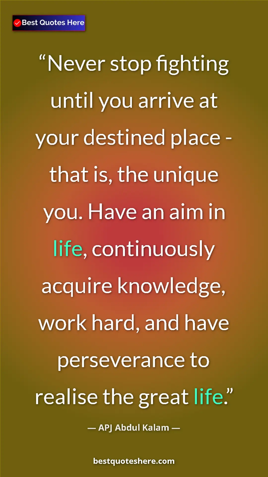 Pinterest quote poster by APJ Abdul Kalam: "Never stop fighting until you arrive at your destined place..."
