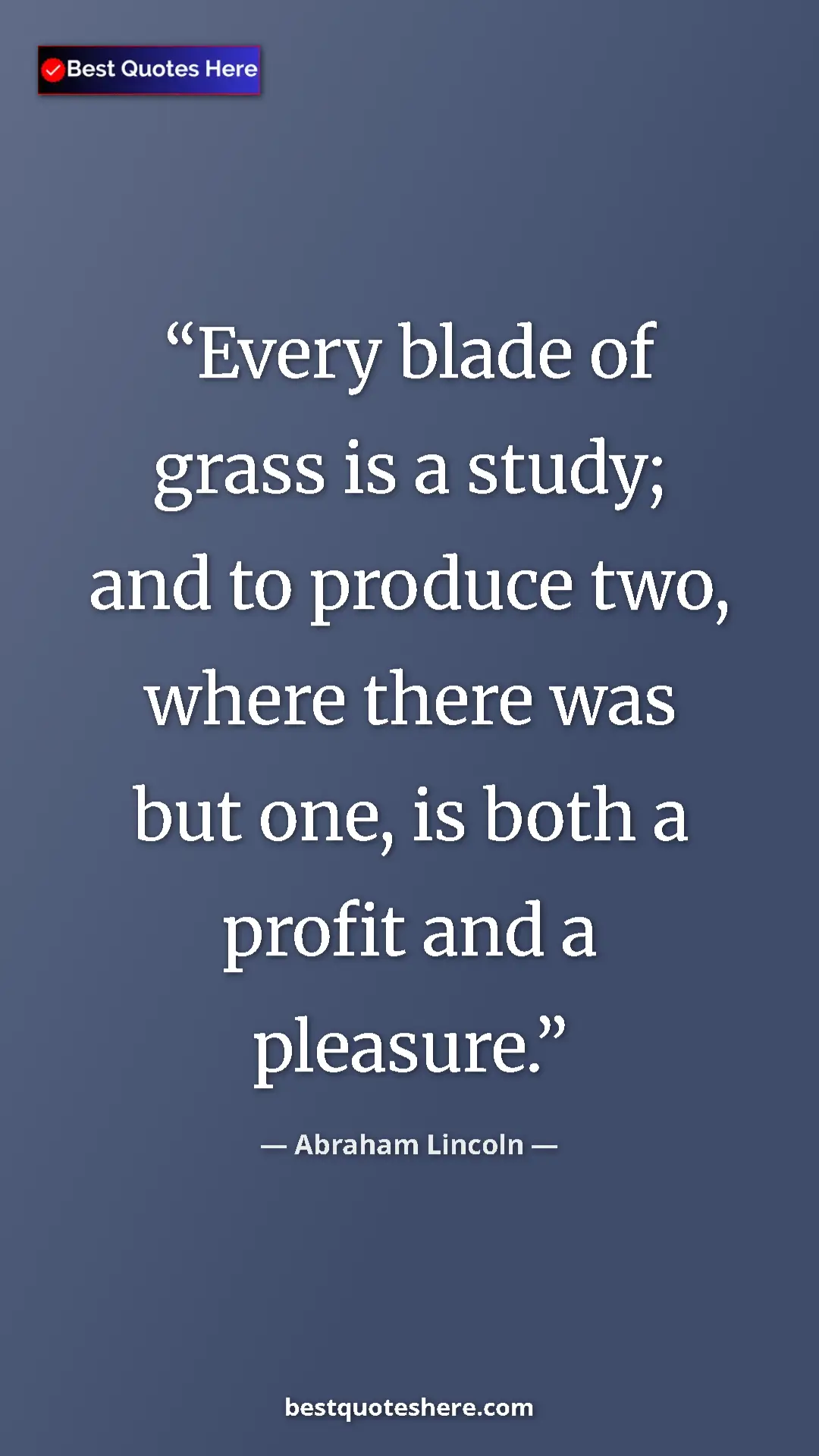 Pinterest quote poster by Abraham Lincoln: "Every blade of grass is a study; and to produce two, where..."