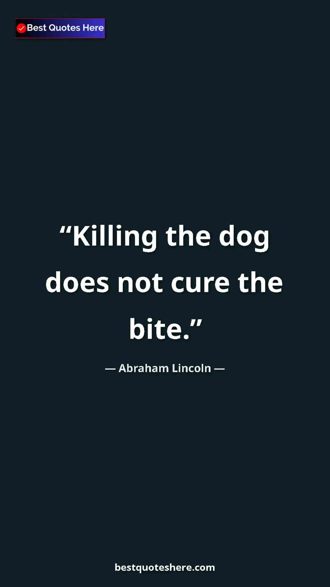 Pinterest quote poster by Abraham Lincoln: "Killing the dog does not cure the bite."