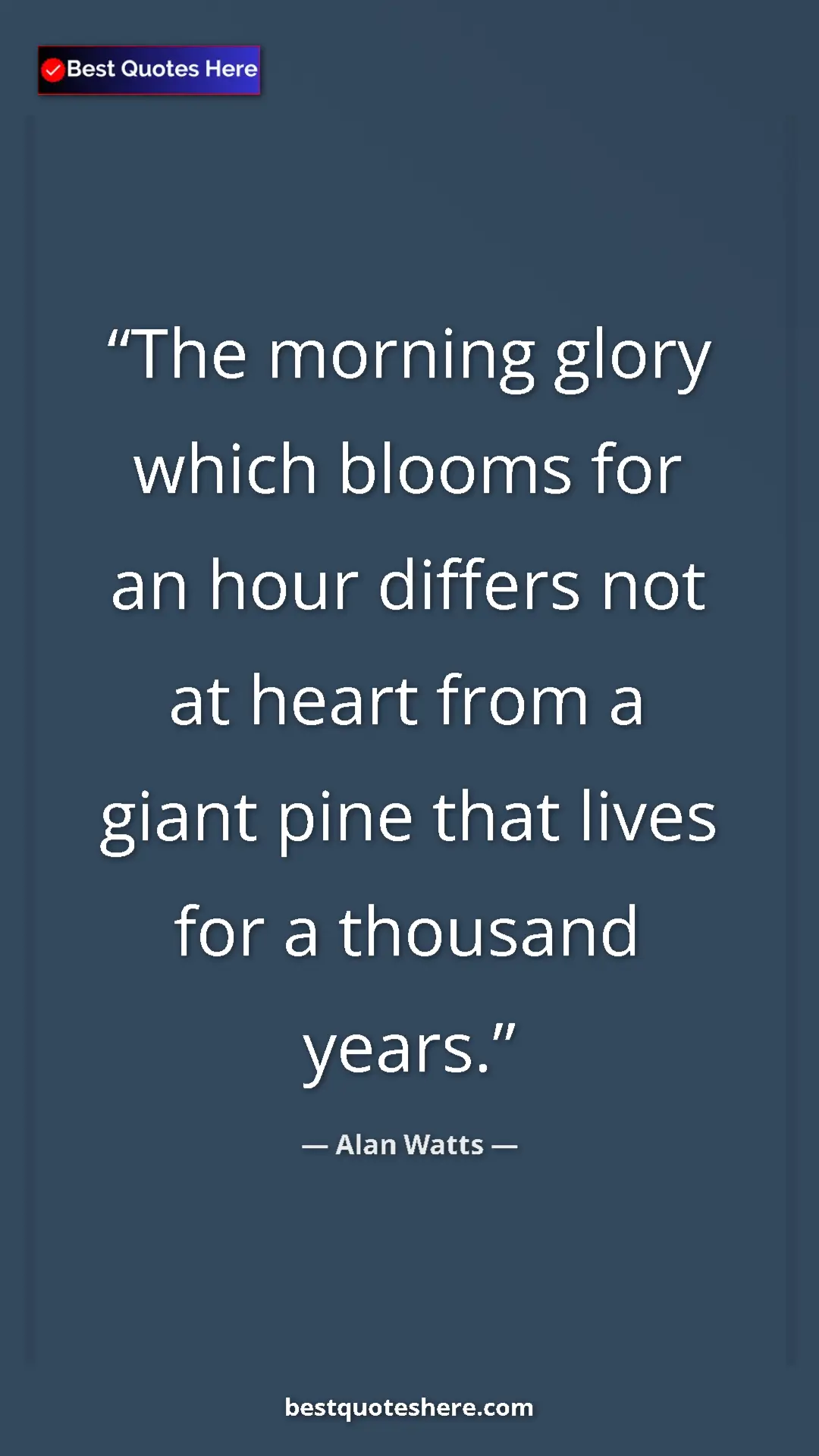 Pinterest quote poster by Alan Watts: "The morning glory which blooms for an hour differs not at..."