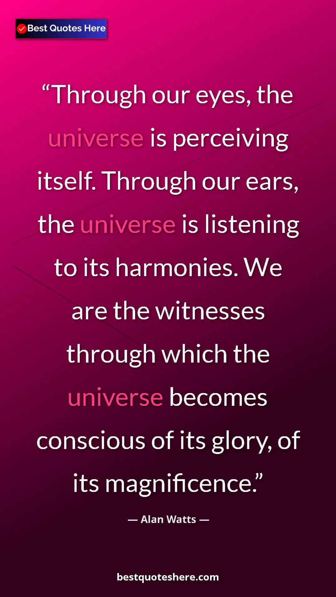 Pinterest quote poster by Alan Watts: "Through our eyes, the universe is perceiving itself...."