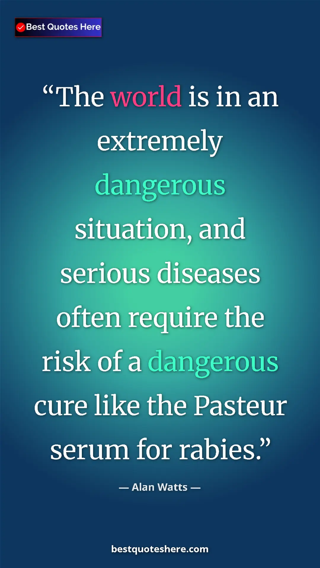 Pinterest quote poster by Alan Watts: "The world is in an extremely dangerous situation, and..."