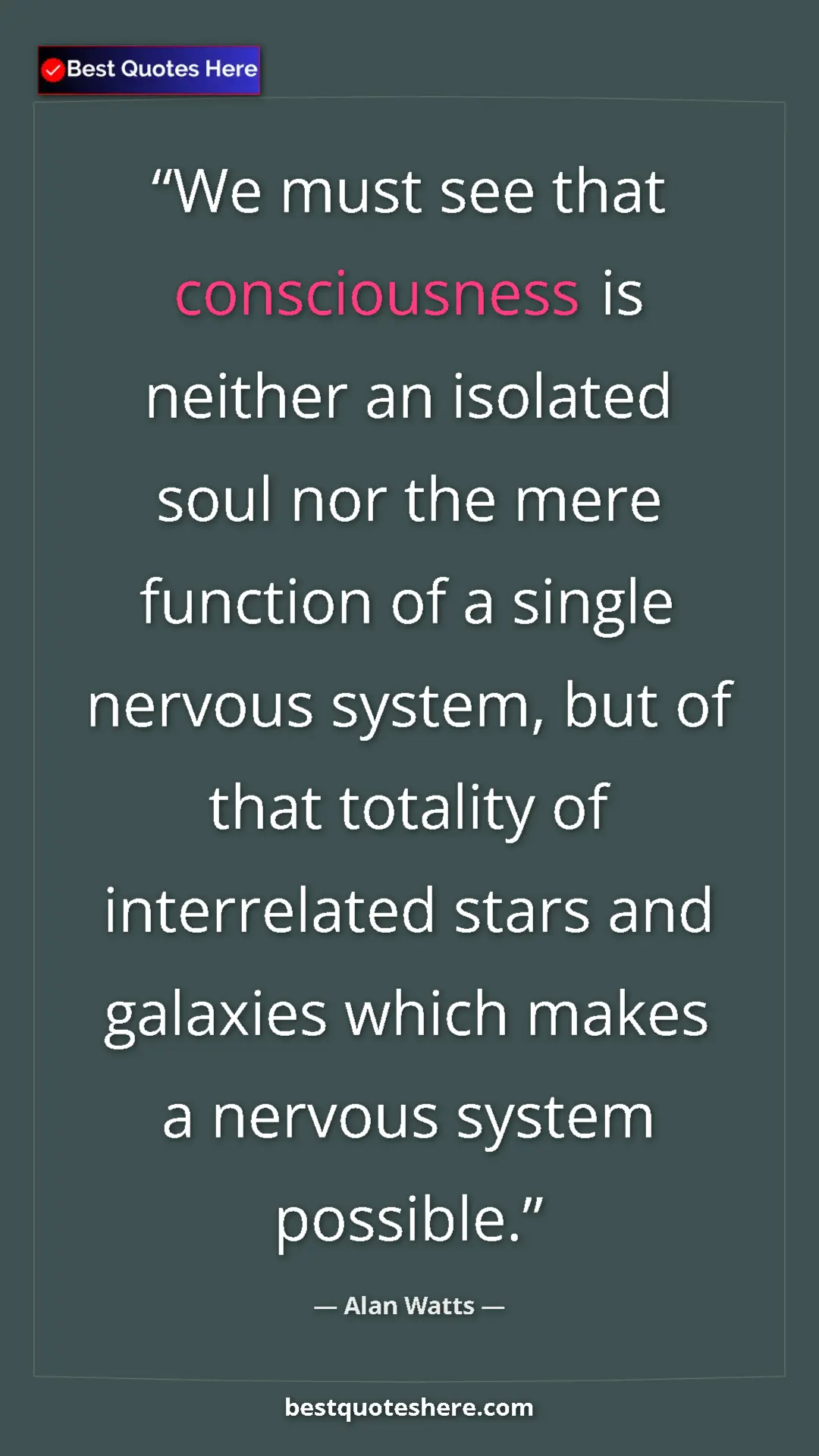 Pinterest quote poster by Alan Watts: "We must see that consciousness is neither an isolated soul..."