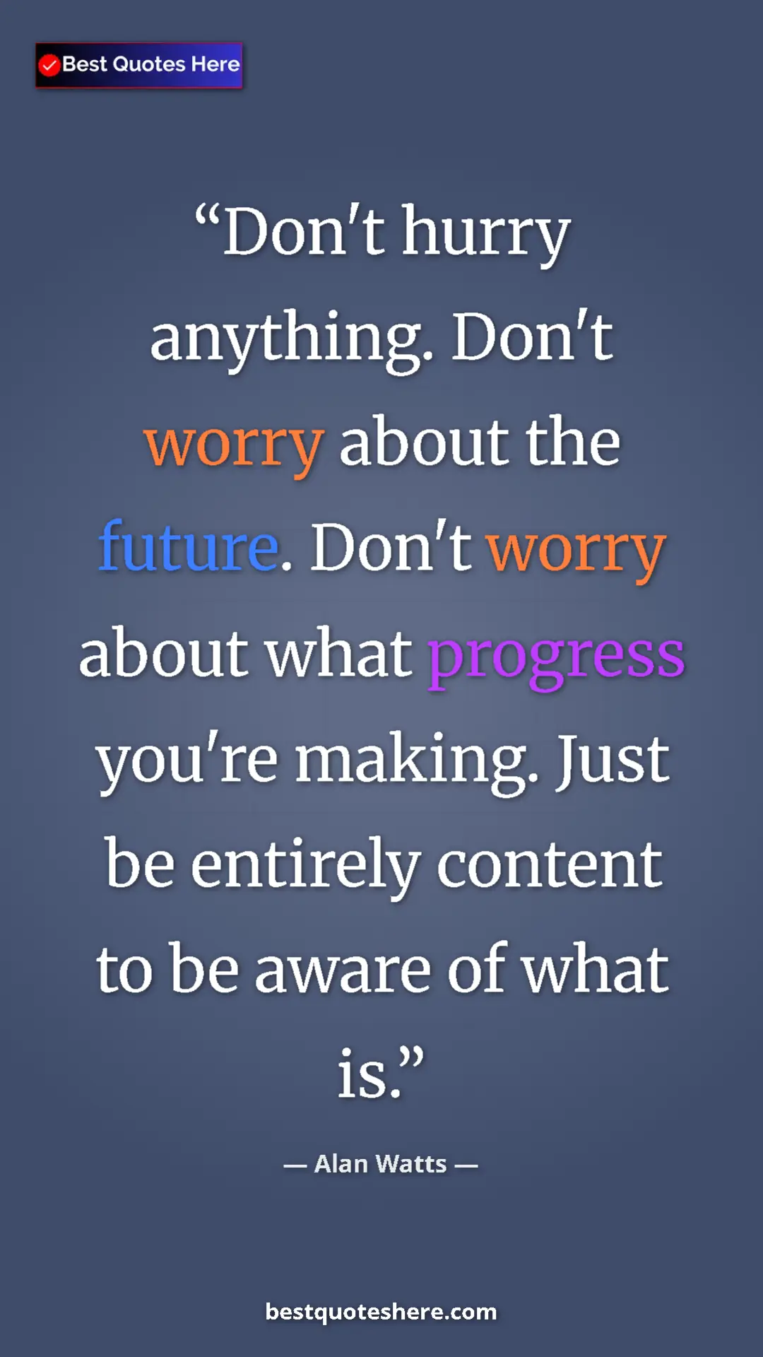 Pinterest quote poster by Alan Watts: "Don't hurry anything. Don't worry about the future. Don't..."