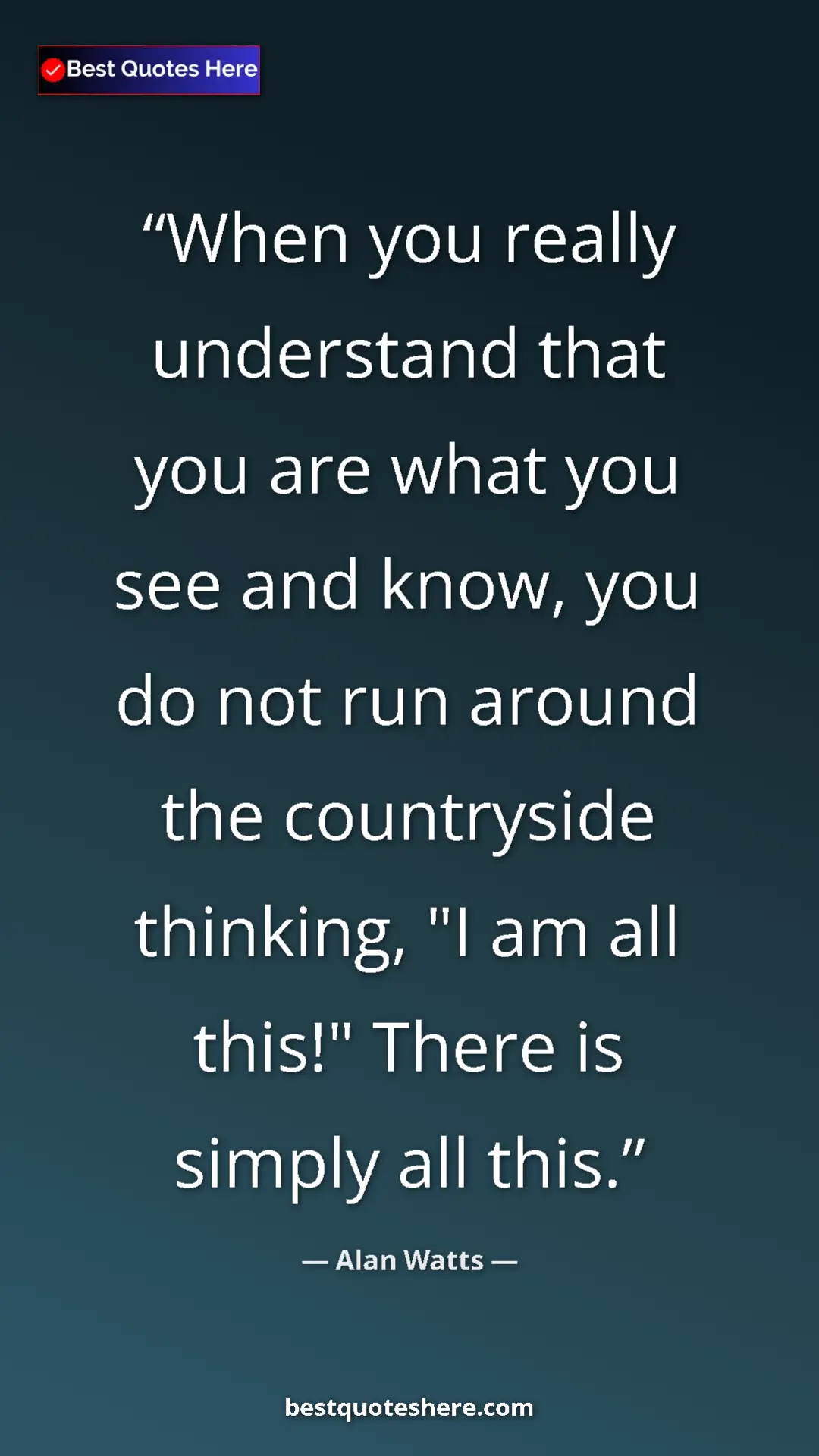 Pinterest quote poster by Alan Watts: "When you really understand that you are what you see and..."