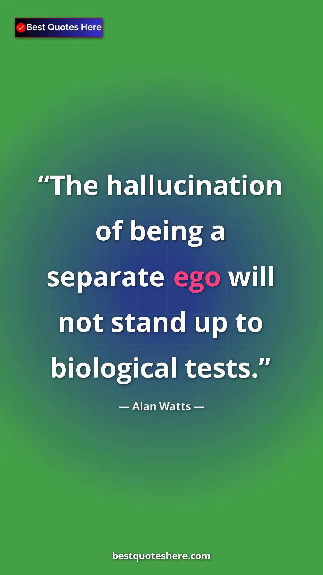 Pinterest quote poster by Alan Watts: "The hallucination of being a separate ego will not stand up..."