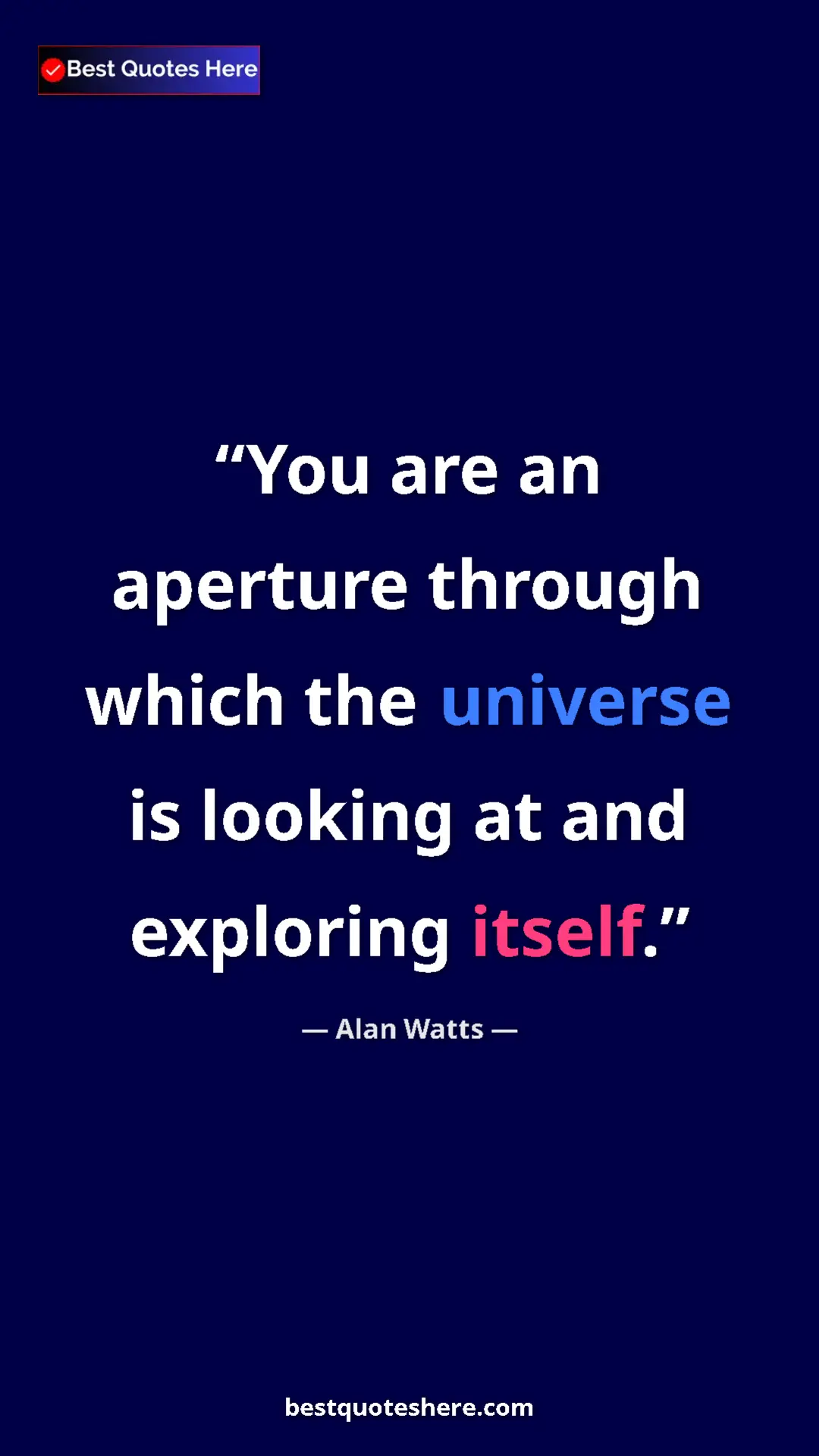 Pinterest quote poster by Alan Watts: "You are an aperture through which the universe is looking..."
