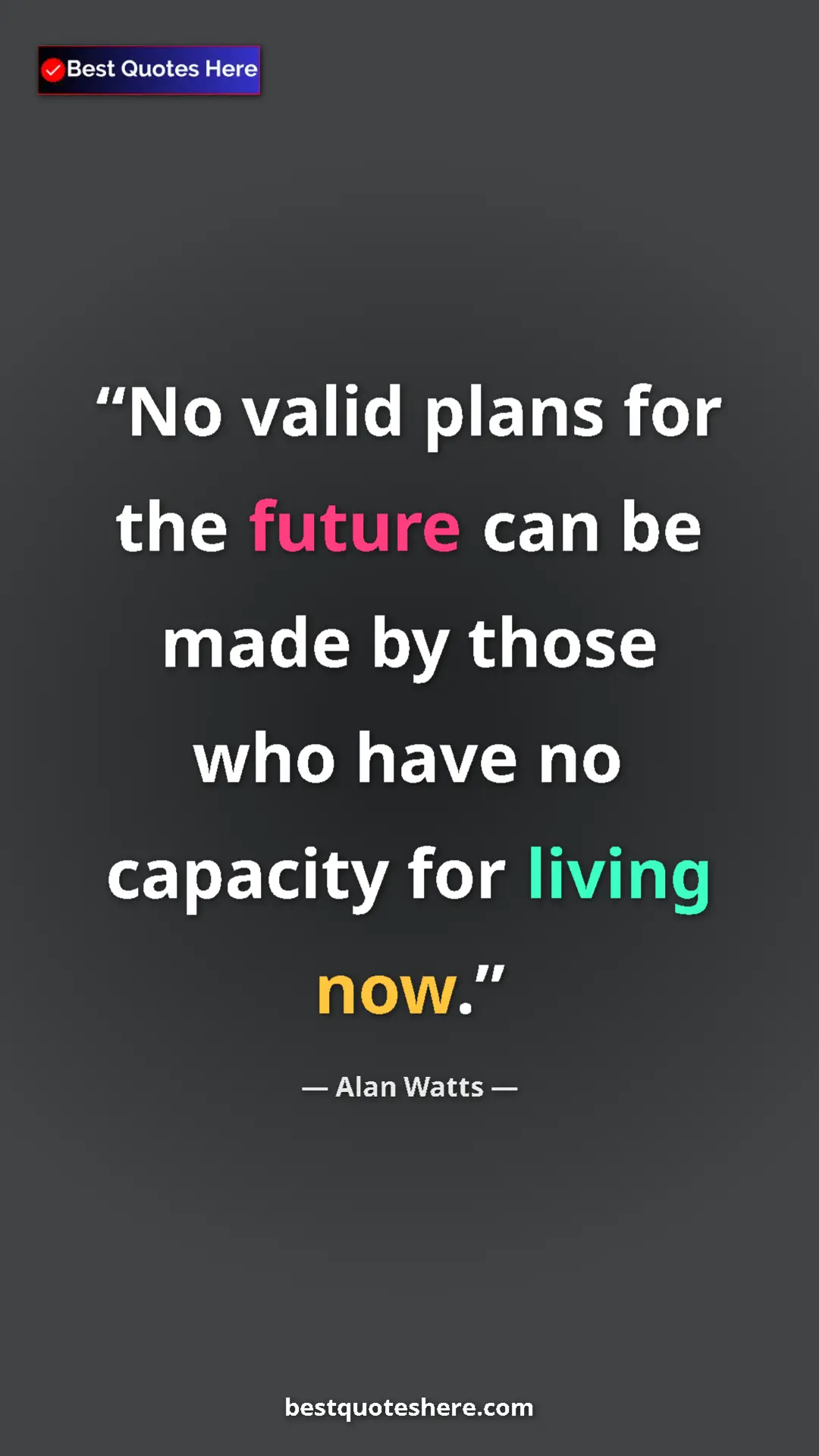 Pinterest quote poster by Alan Watts: "No valid plans for the future can be made by those who have..."
