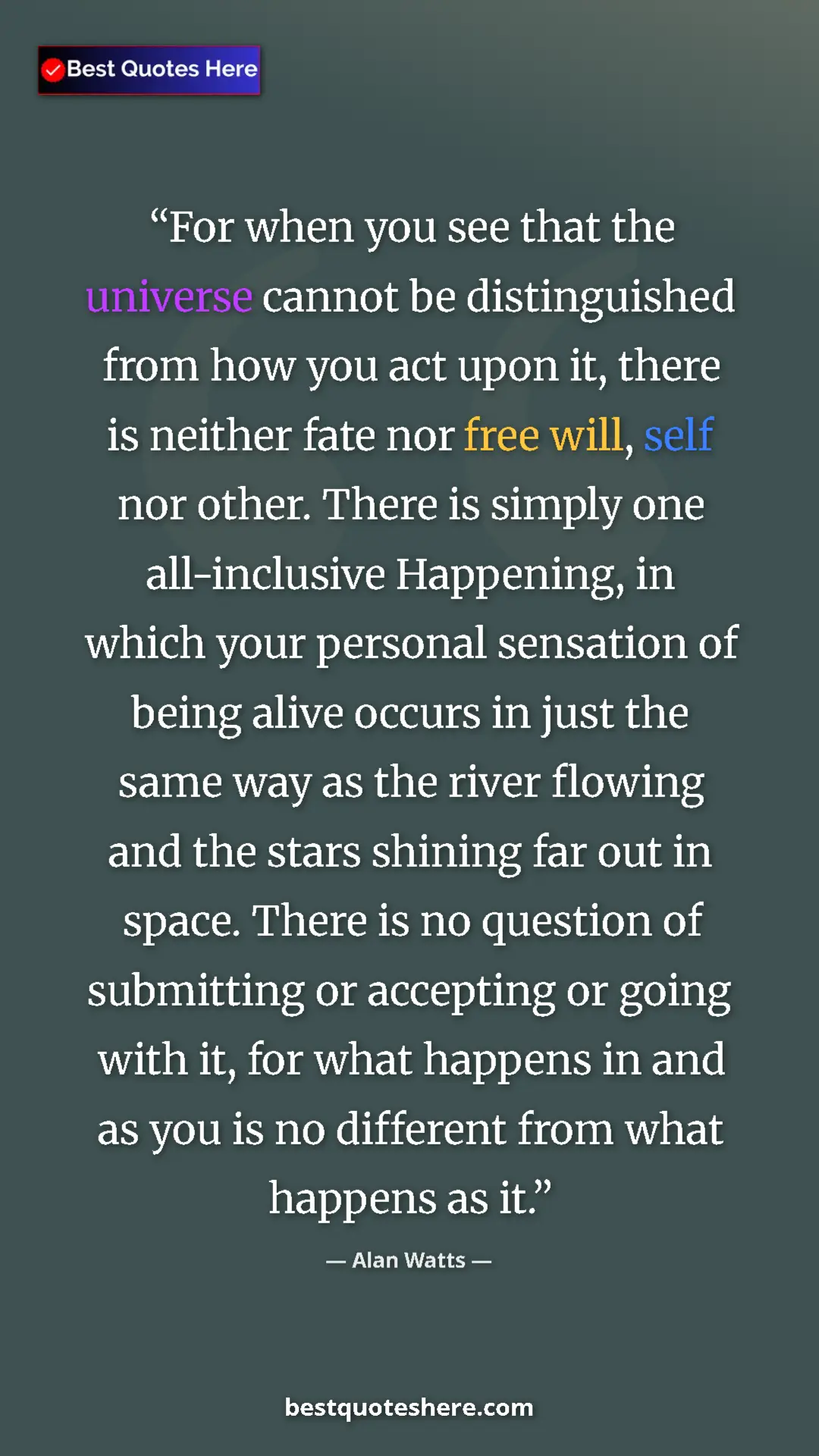 Pinterest quote poster by Alan Watts: "For when you see that the universe cannot be distinguished..."