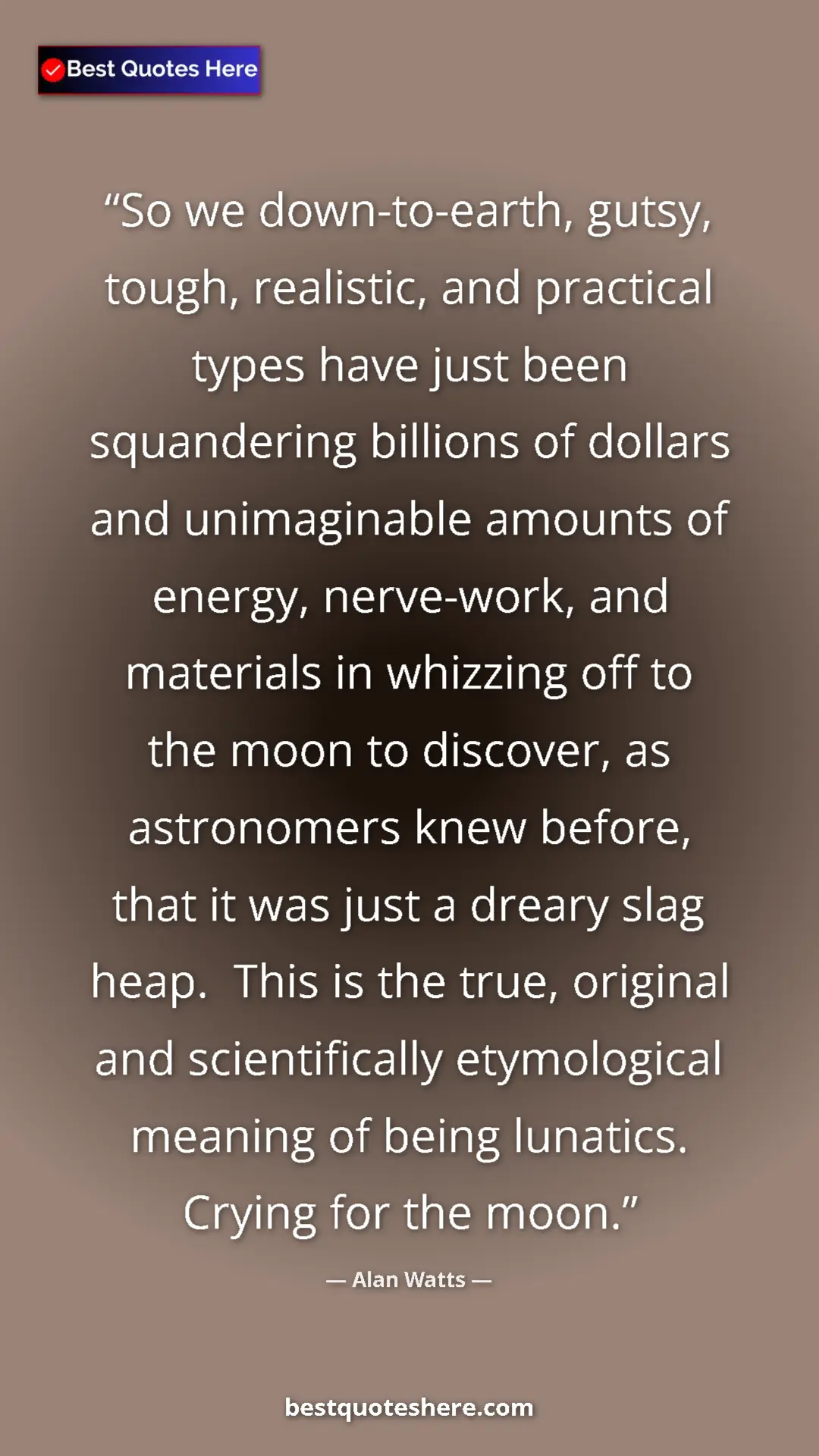 Pinterest quote poster by Alan Watts: "So we down-to-earth, gutsy, tough, realistic, and practical..."