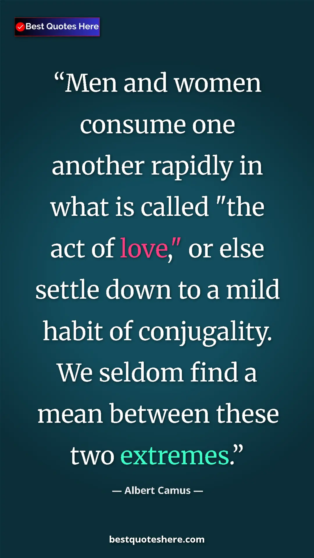 Pinterest quote poster by Albert Camus: "Men and women consume one another rapidly in what is called..."