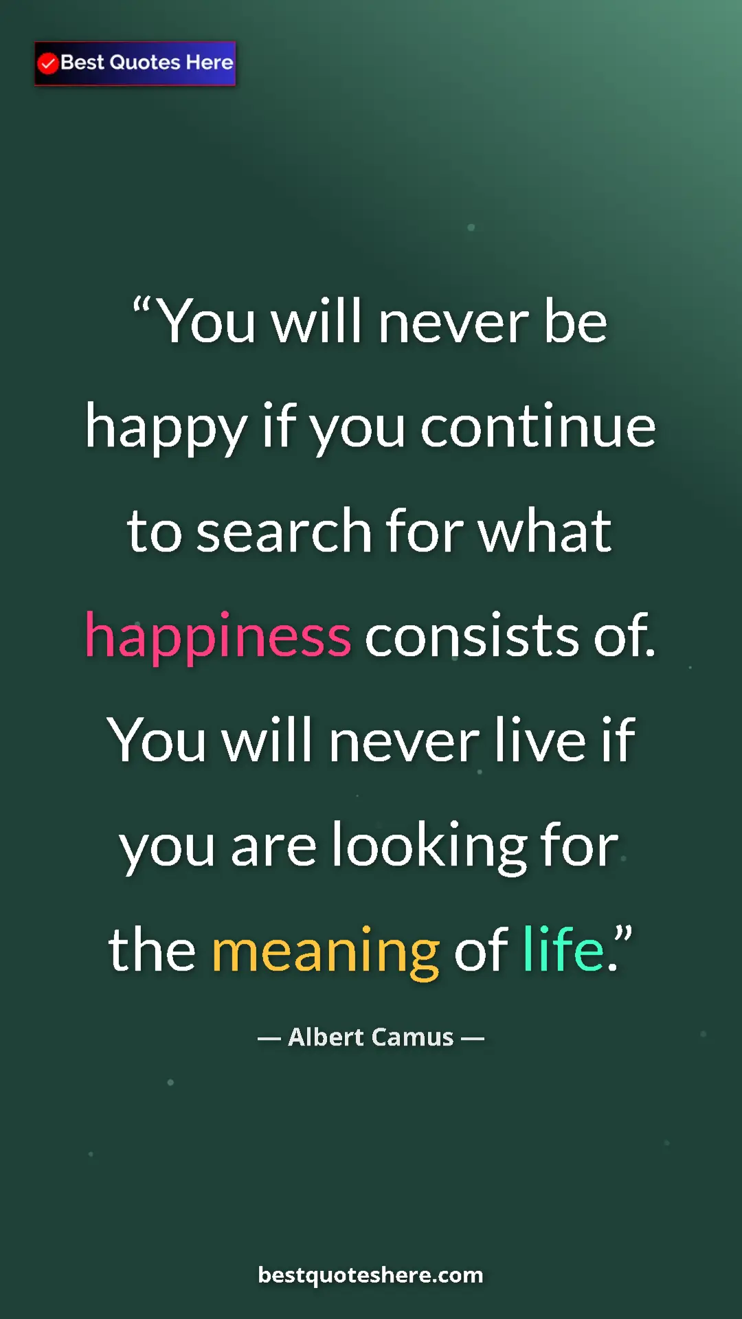 Pinterest quote poster by Albert Camus: "You will never be happy if you continue to search for what..."