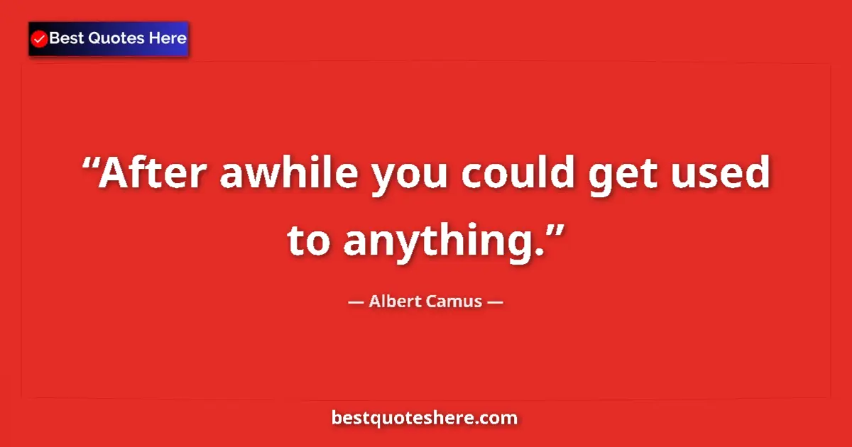 Albert Camus quote: "After awhile you could get used to anything."