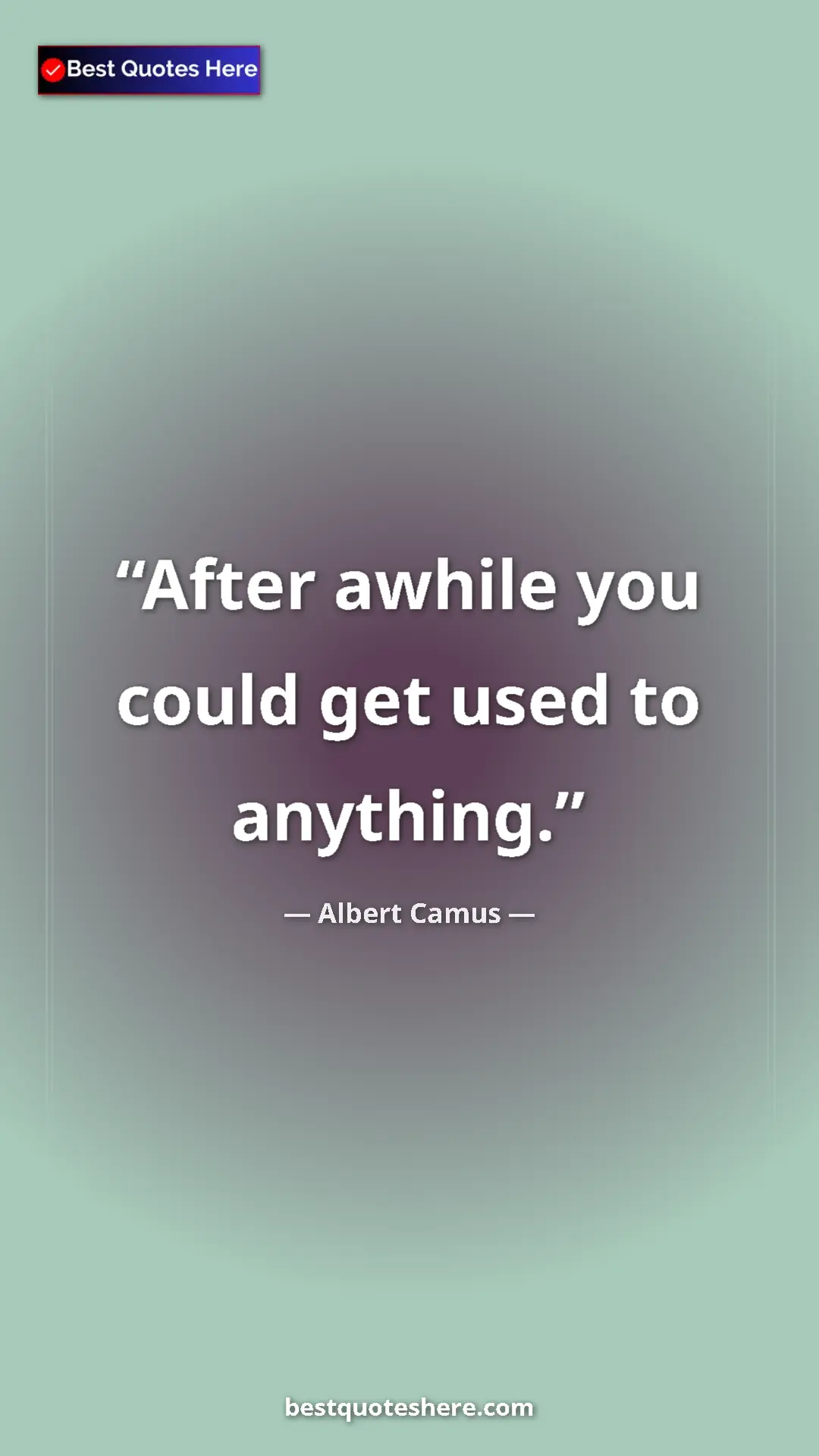 Pinterest quote poster by Albert Camus: "After awhile you could get used to anything."