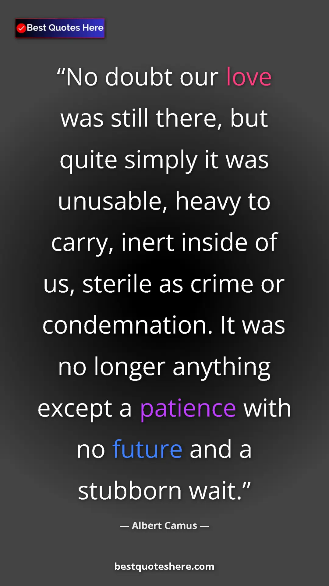Pinterest quote poster by Albert Camus: "No doubt our love was still there, but quite simply it was..."