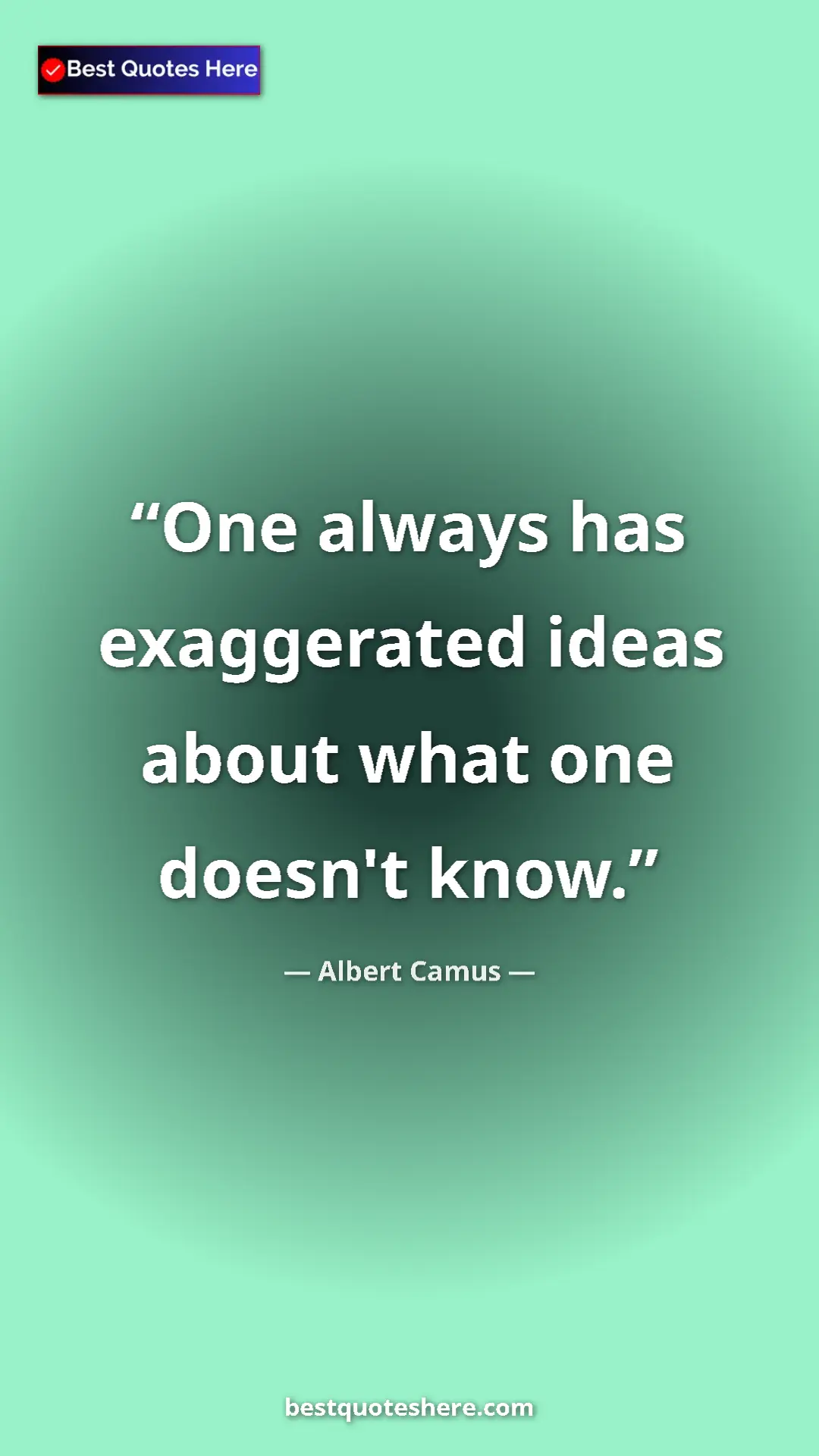 Pinterest quote poster by Albert Camus: "One always has exaggerated ideas about what one doesn't..."