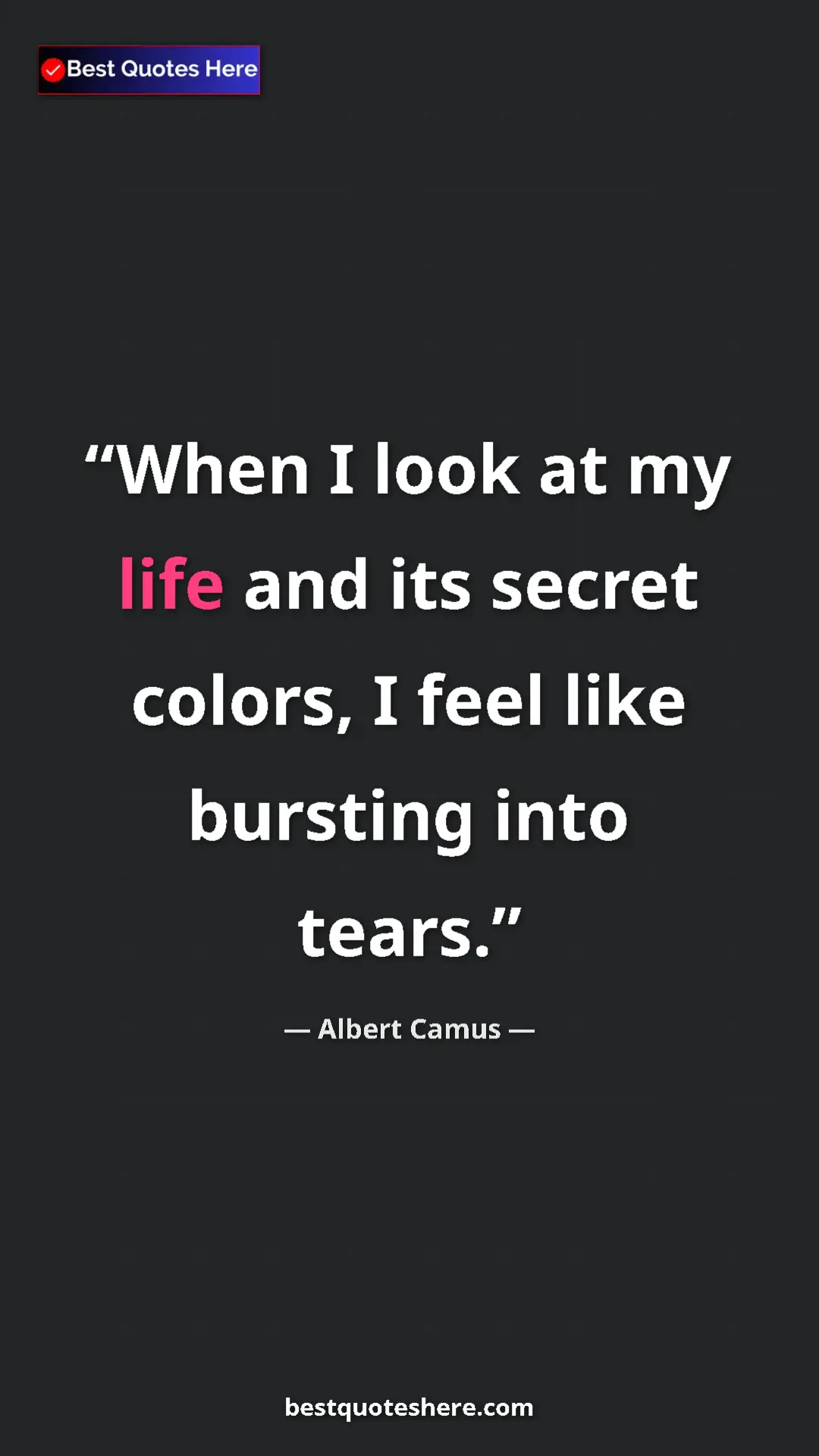 Pinterest quote poster by Albert Camus: "When I look at my life and its secret colors, I feel like..."
