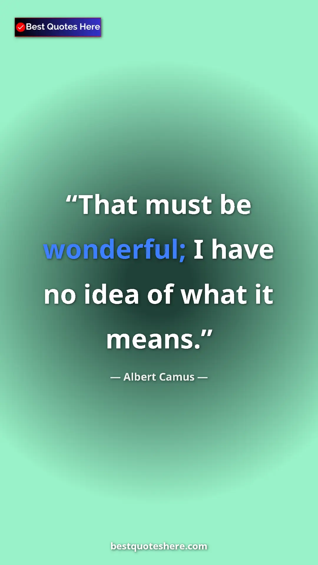 Pinterest quote poster by Albert Camus: "That must be wonderful; I have no idea of what it means."