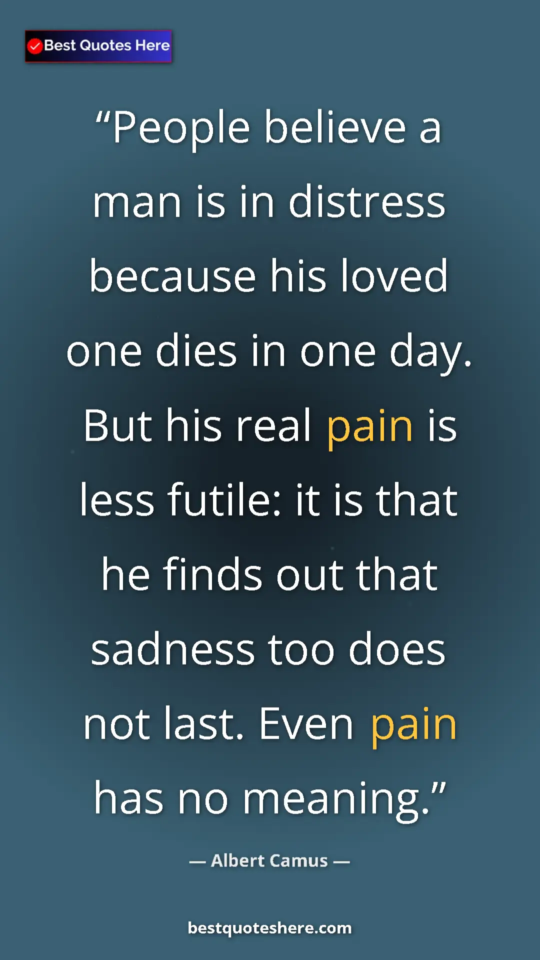 Pinterest quote poster by Albert Camus: "People believe a man is in distress because his loved one..."