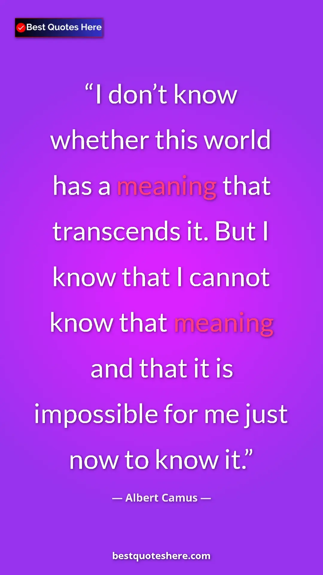 Pinterest quote poster by Albert Camus: "I don’t know whether this world has a meaning that..."