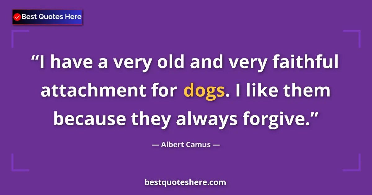 Quote by Albert Camus: I have a very old and very faithful attachment for dogs. I like them because they always forgive....