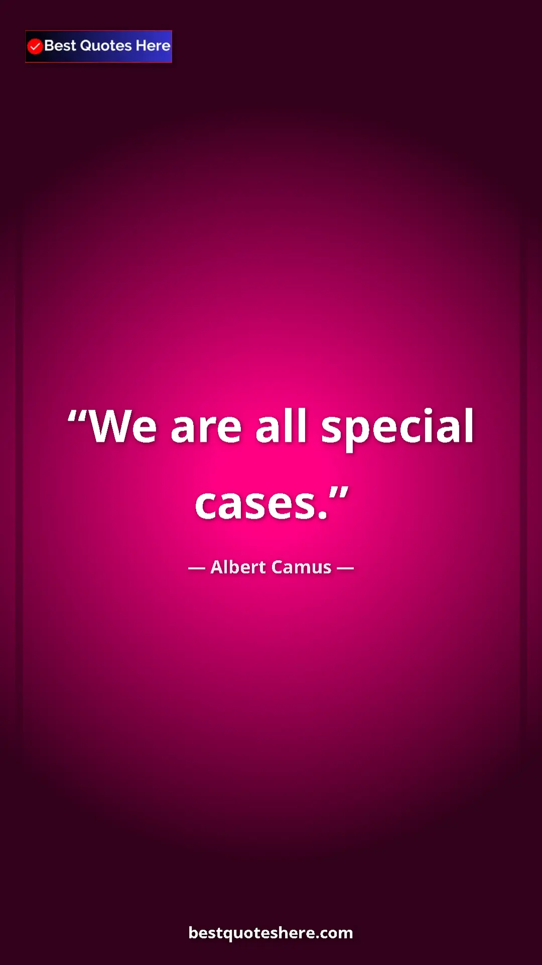 Pinterest quote poster by Albert Camus: "We are all special cases."