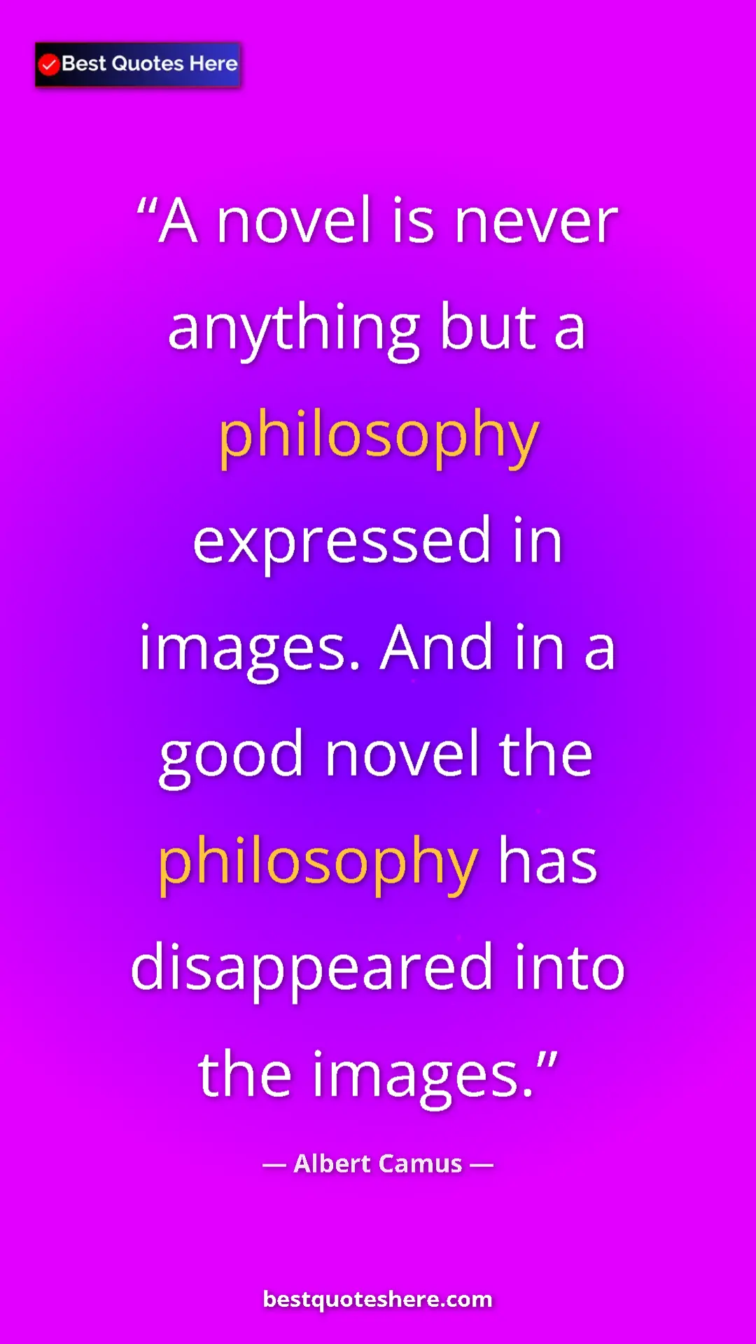 Pinterest quote poster by Albert Camus: "A novel is never anything but a philosophy expressed in..."