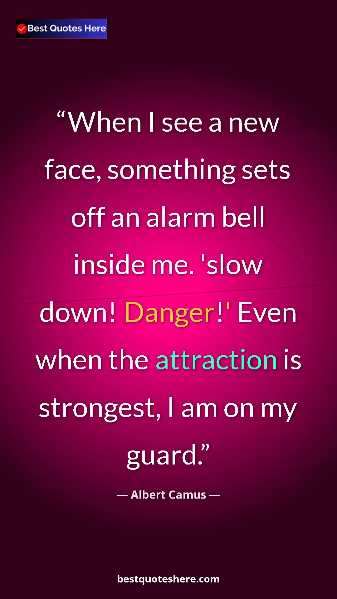 Pinterest quote poster by Albert Camus: "When I see a new face, something sets off an alarm bell..."