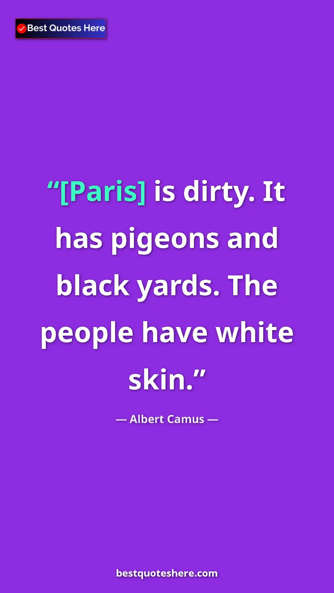 Pinterest quote poster by Albert Camus: "[Paris] is dirty. It has pigeons and black yards. The..."