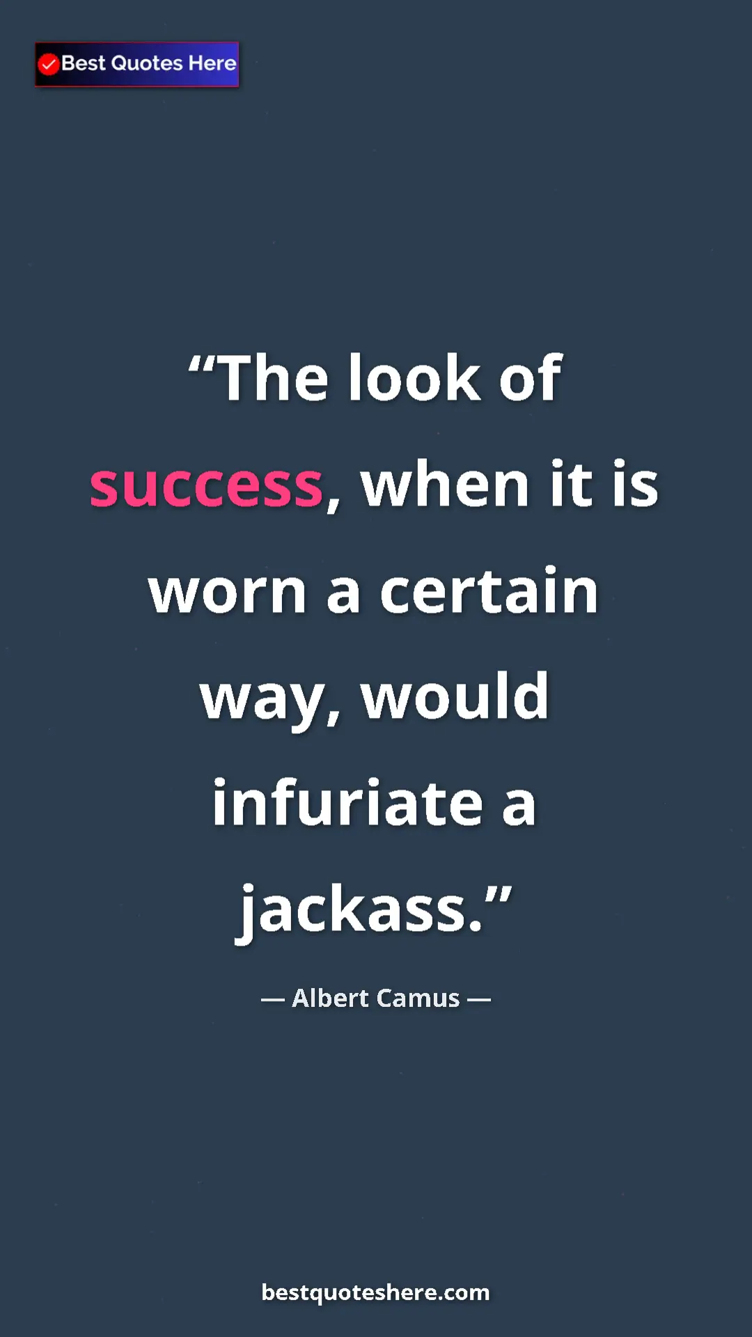 Pinterest quote poster by Albert Camus: "The look of success, when it is worn a certain way, would..."