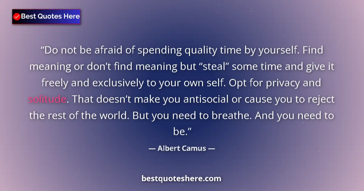 Quote by Albert Camus: Do not be afraid of spending quality time by yourself. Find meaning or don’t find meaning but “steal...