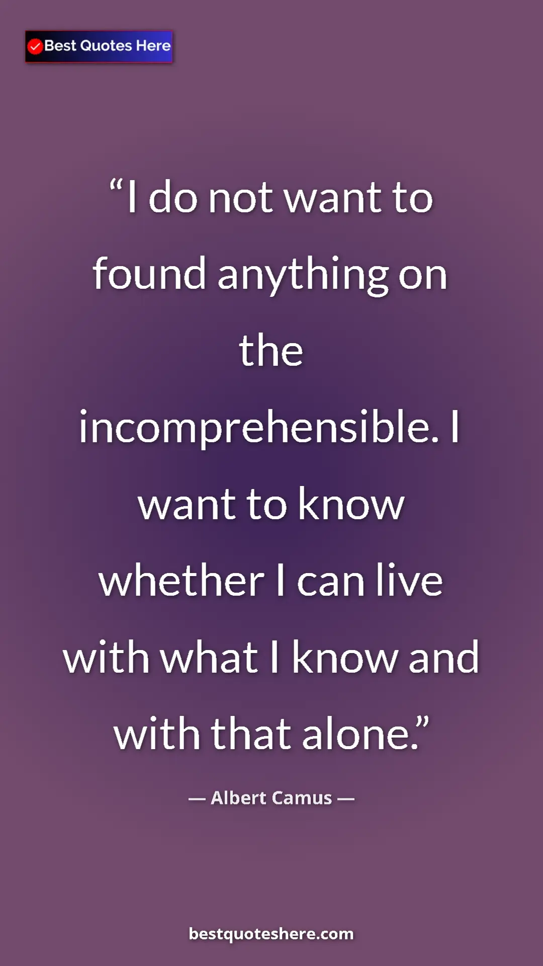 Pinterest quote poster by Albert Camus: "I do not want to found anything on the incomprehensible. I..."