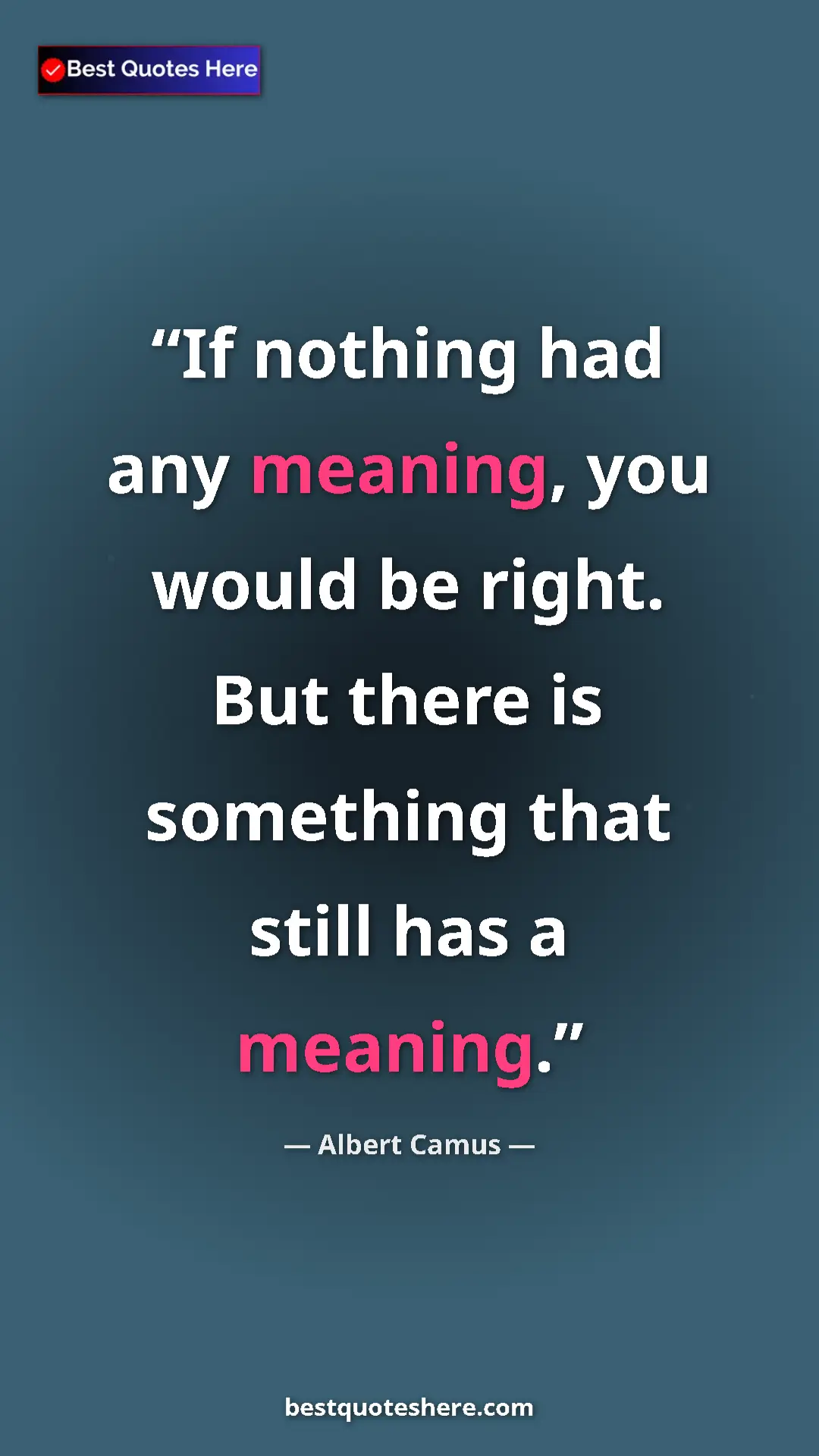 Pinterest quote poster by Albert Camus: "If nothing had any meaning, you would be right. But there..."