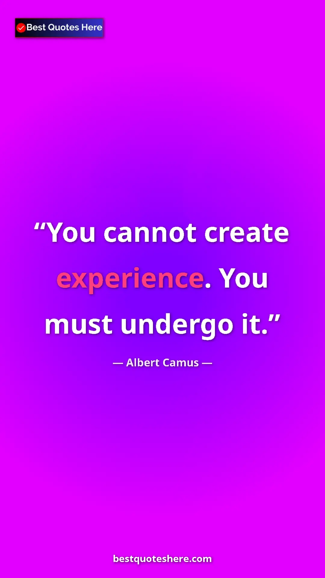 Pinterest quote poster by Albert Camus: "You cannot create experience. You must undergo it."