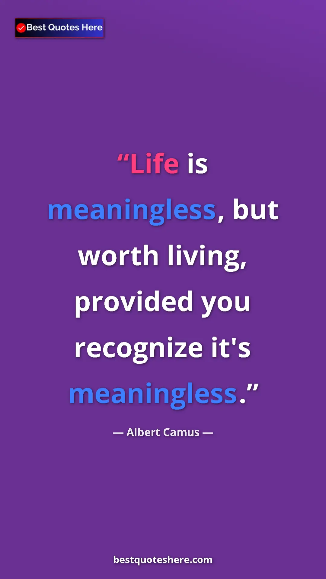 Pinterest quote poster by Albert Camus: "Life is meaningless, but worth living, provided you..."