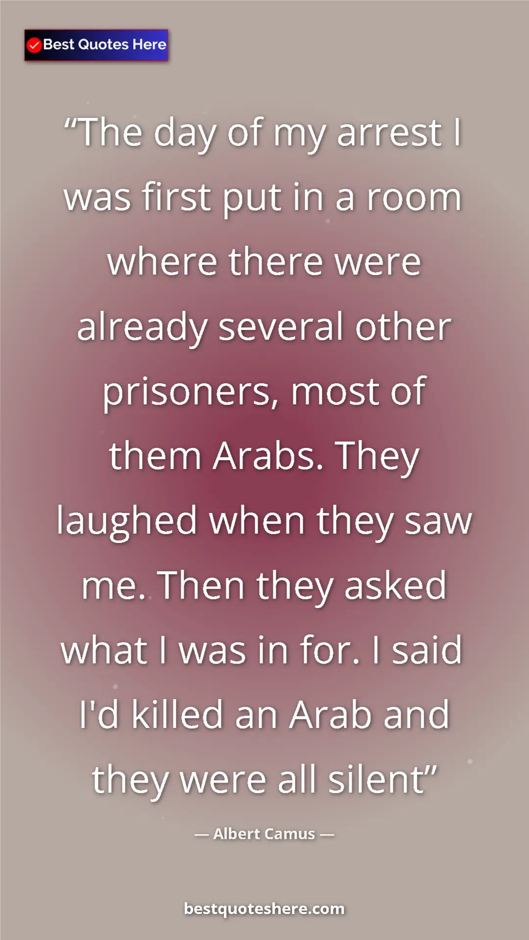 Pinterest quote poster by Albert Camus: "The day of my arrest I was first put in a room where there..."