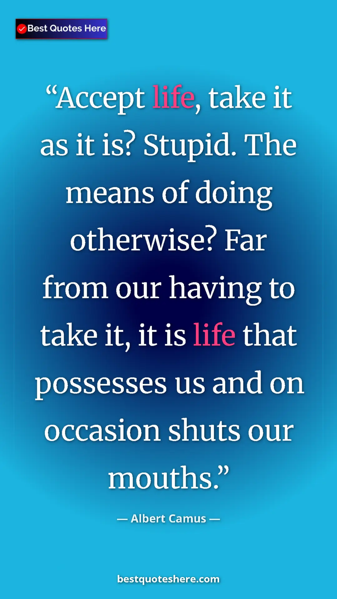 Pinterest quote poster by Albert Camus: "Accept life, take it as it is? Stupid. The means of doing..."