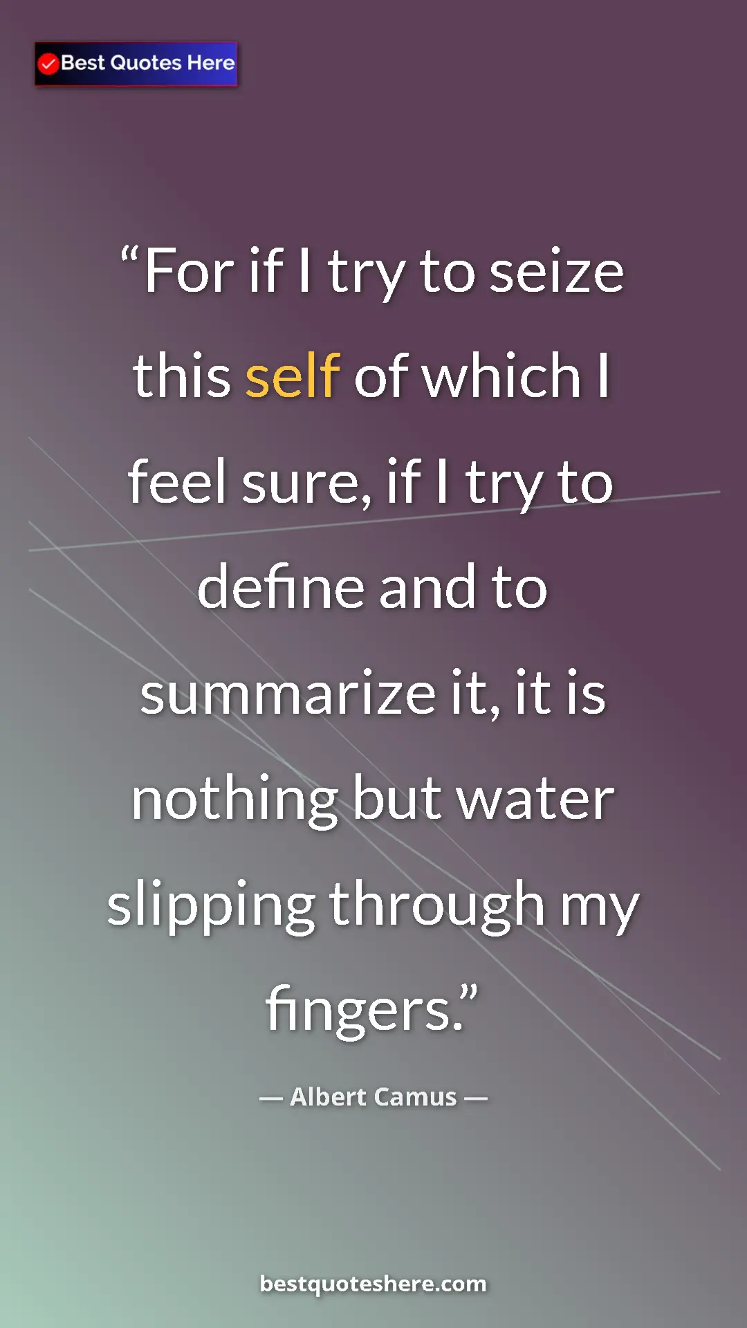 Pinterest quote poster by Albert Camus: "For if I try to seize this self of which I feel sure, if I..."
