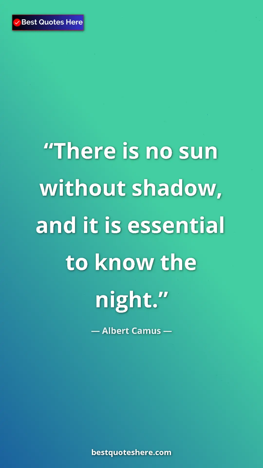 Pinterest quote poster by Albert Camus: "There is no sun without shadow, and it is essential to know..."