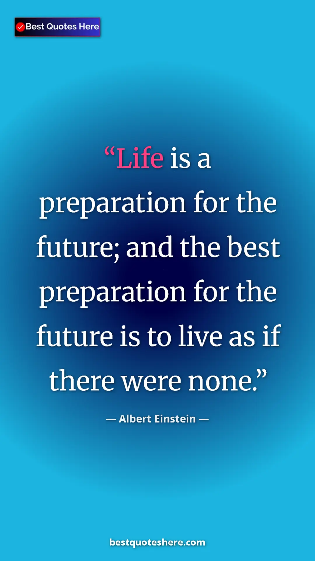 Pinterest quote poster by Albert Einstein: "Life is a preparation for the future; and the best..."