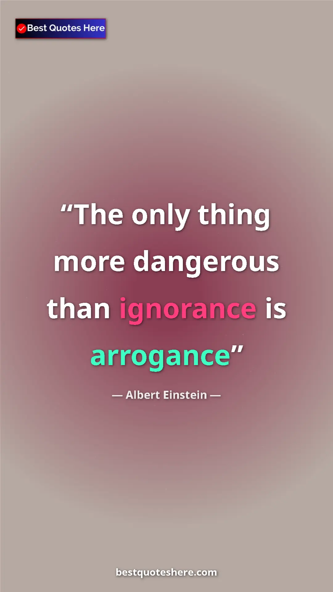 Pinterest quote poster by Albert Einstein: "The only thing more dangerous than ignorance is arrogance"