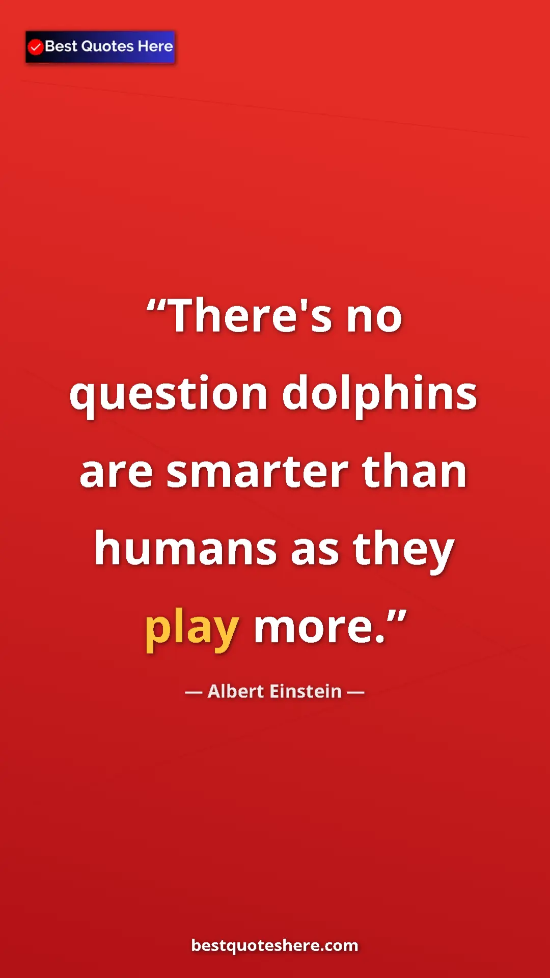 Pinterest quote poster by Albert Einstein: "There's no question dolphins are smarter than humans as..."