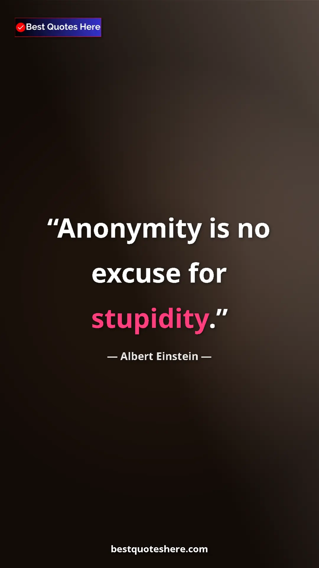 Pinterest quote poster by Albert Einstein: "Anonymity is no excuse for stupidity."