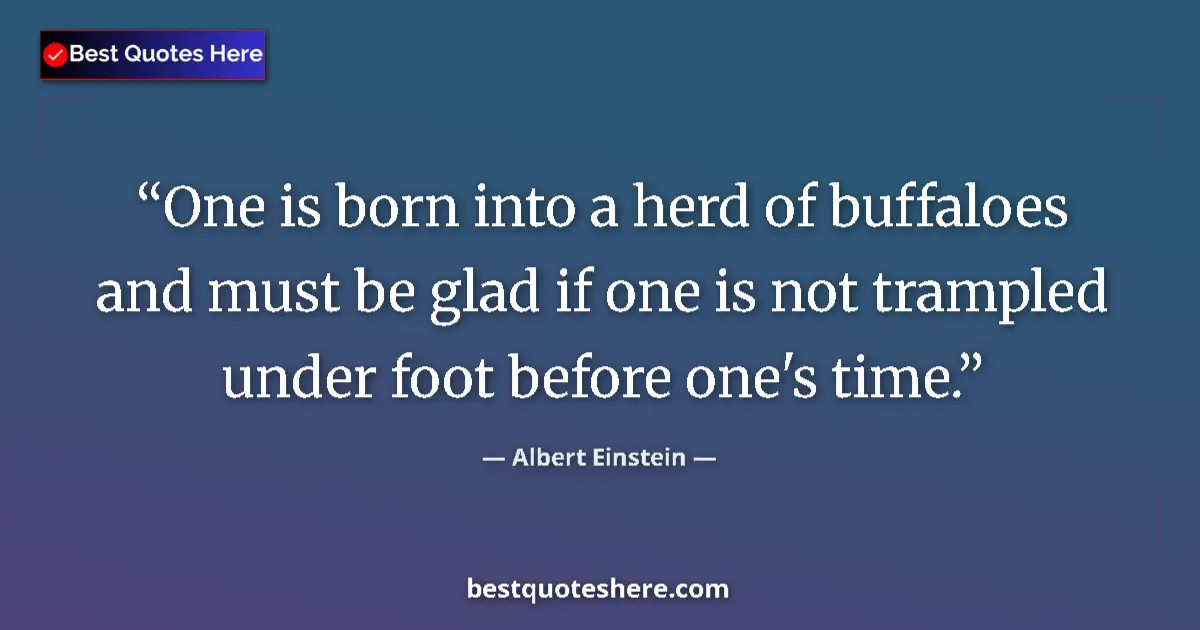 Albert Einstein quote: "One is born into a herd of buffaloes and must be glad if..."