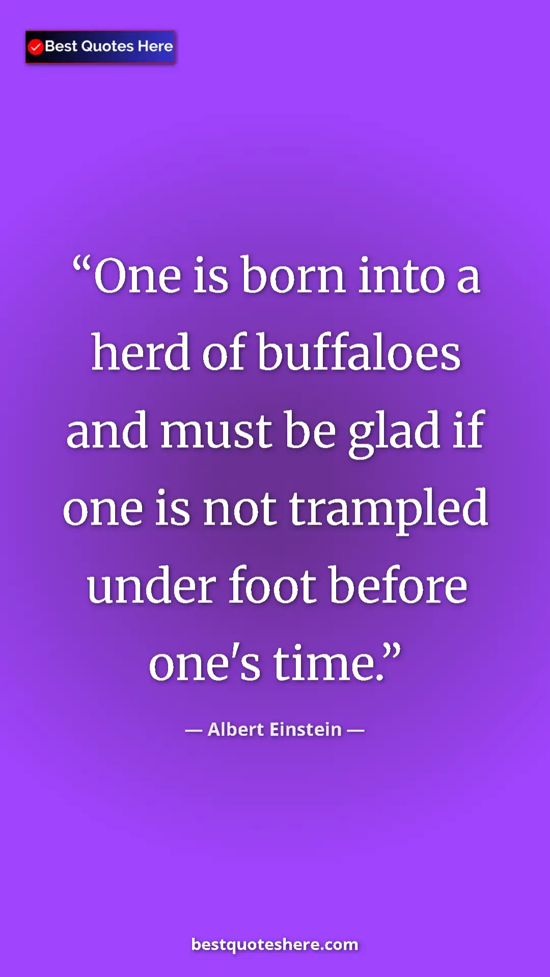 Pinterest quote poster by Albert Einstein: "One is born into a herd of buffaloes and must be glad if..."