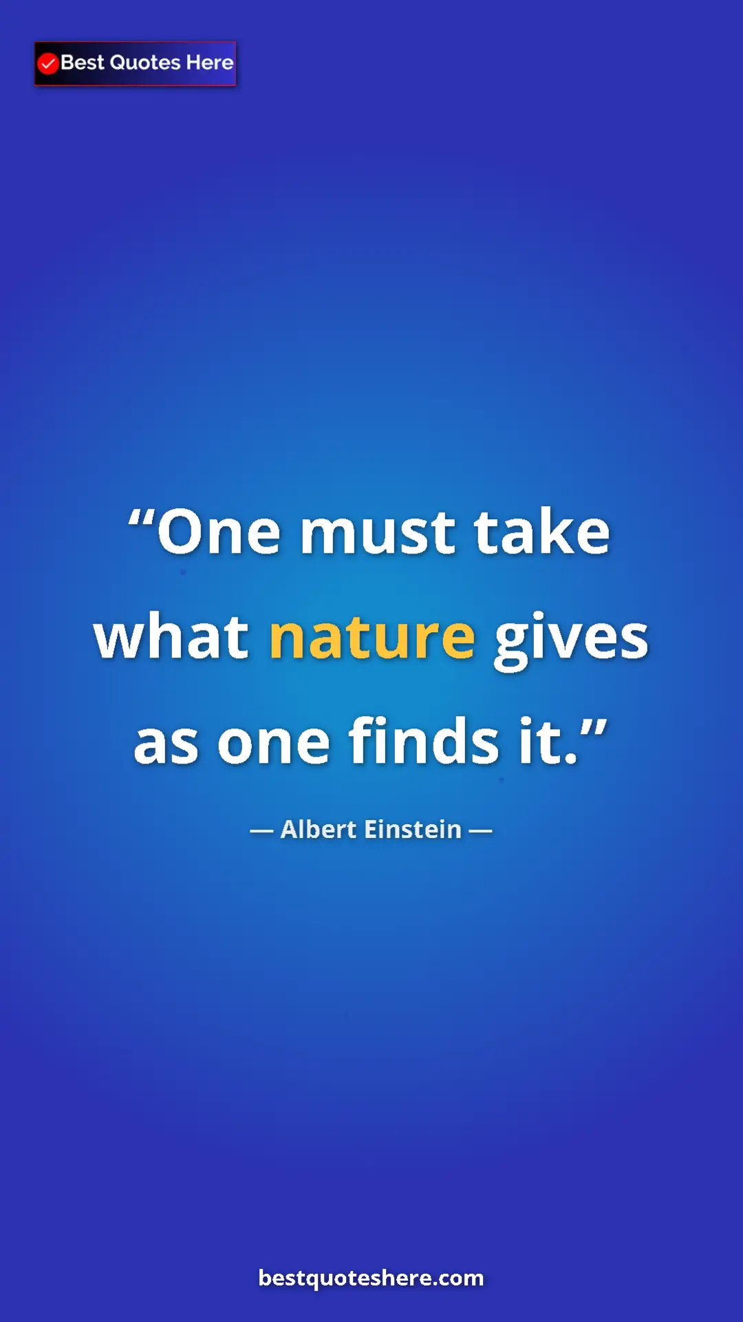 Pinterest quote poster by Albert Einstein: "One must take what nature gives as one finds it."