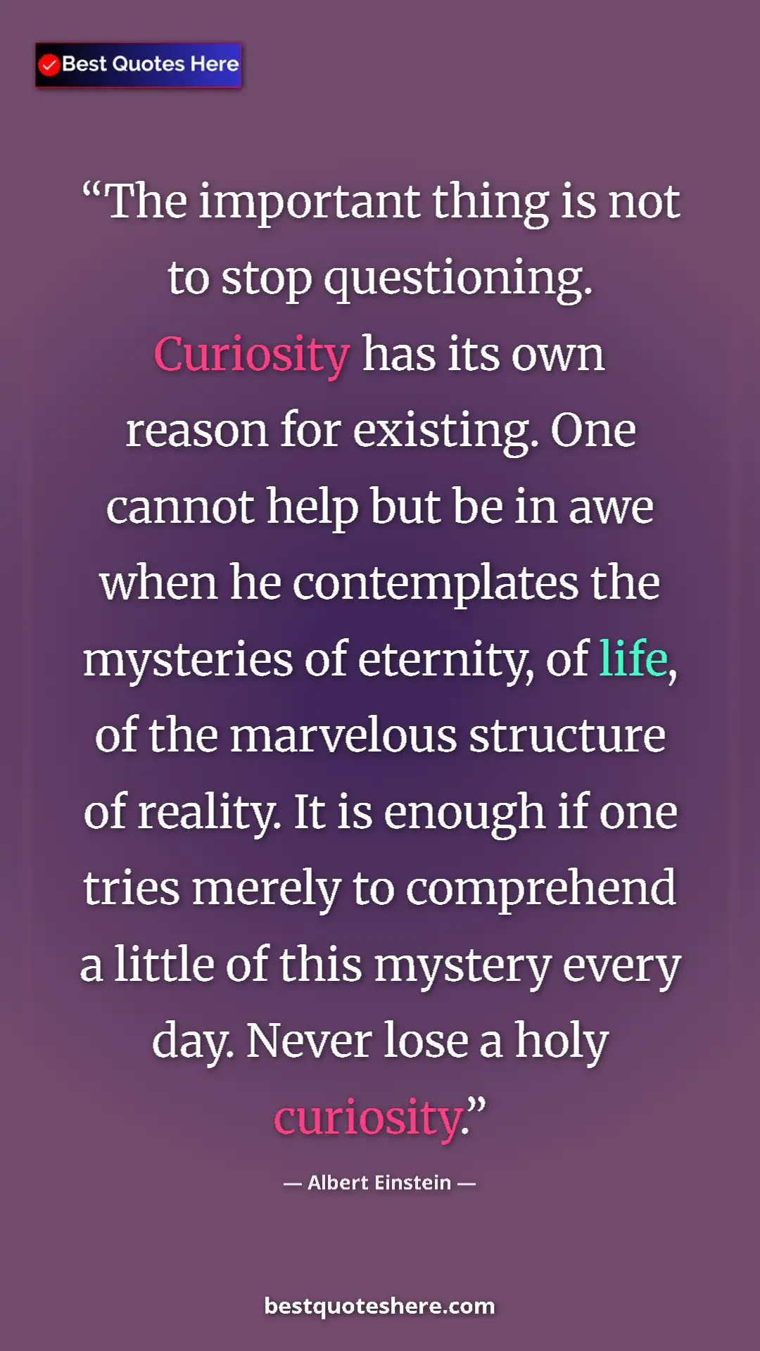 Pinterest quote poster by Albert Einstein: "The important thing is not to stop questioning. Curiosity..."
