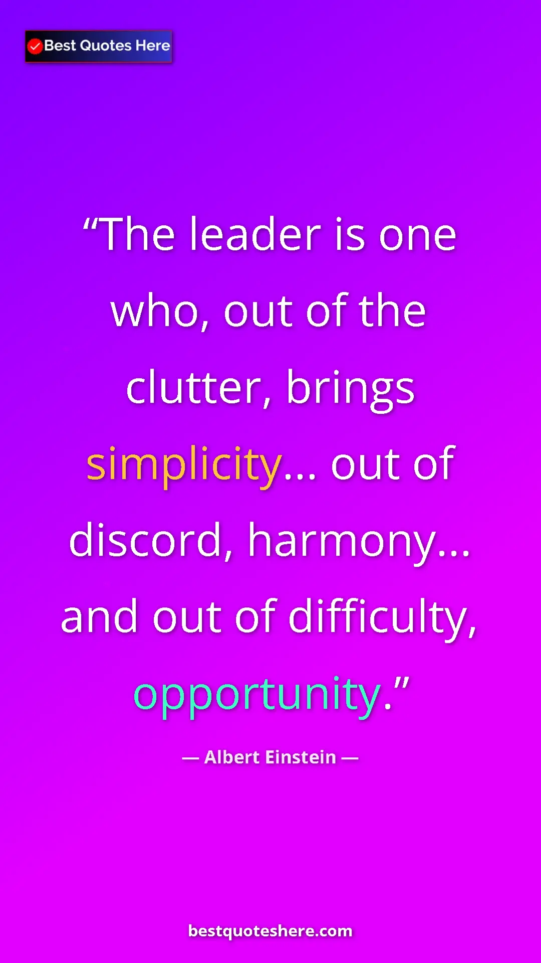 Pinterest quote poster by Albert Einstein: "The leader is one who, out of the clutter, brings..."