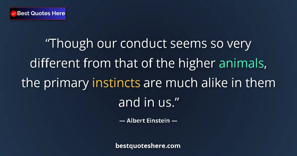 Image for the quote by Albert Einstein: Though our conduct seems so very different from that of the higher animals, the primary instincts ar...