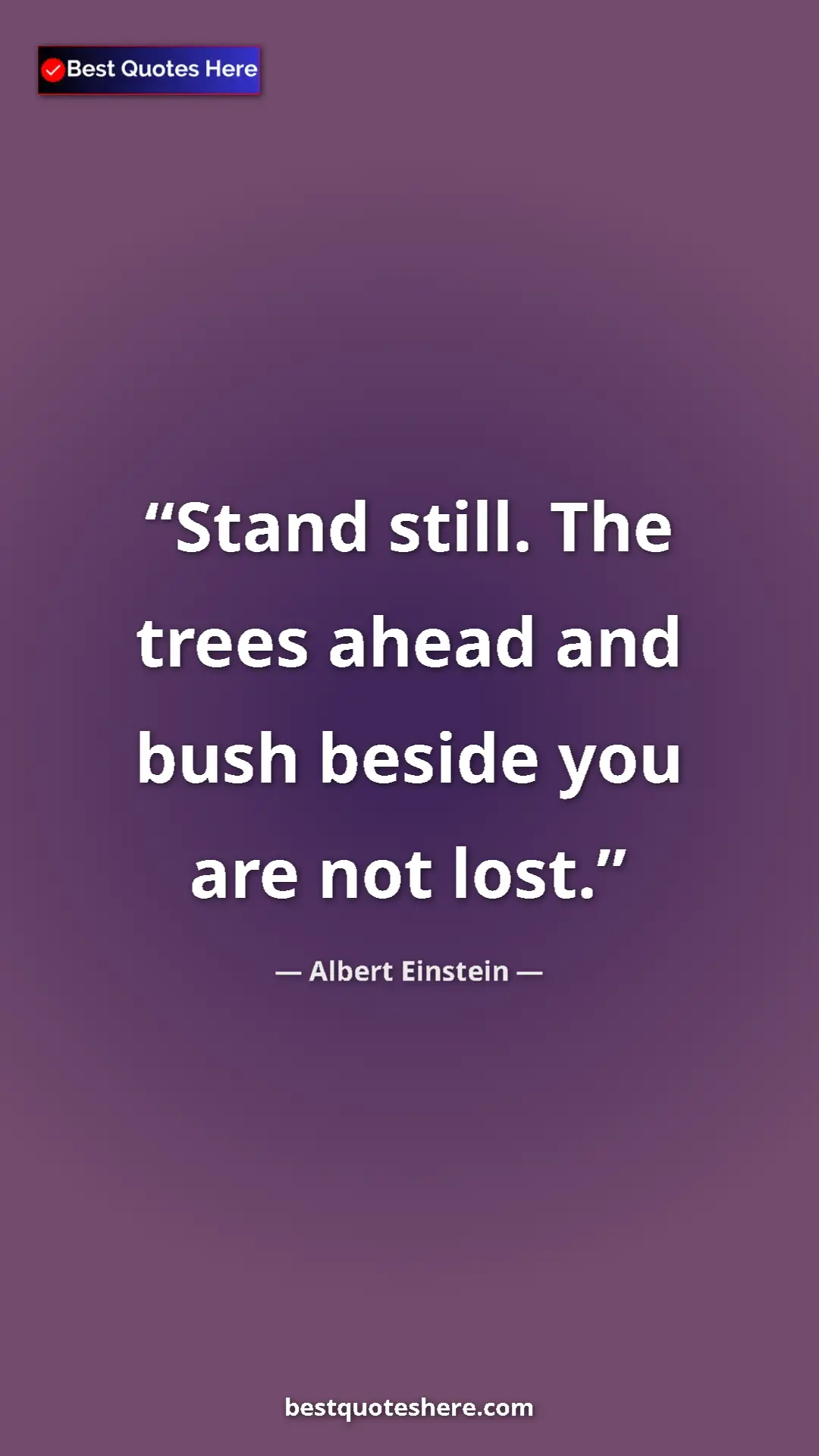 Pinterest quote poster by Albert Einstein: "Stand still. The trees ahead and bush beside you are not..."